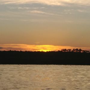 Meet your Posher, Tonya